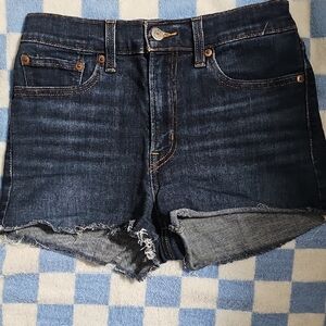 Levi's Denim Blue Women's Shorts